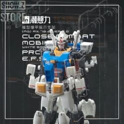 Inforce MG02 MG 1/100 RX-78-2 GUNDAM Ver.2.0 Internal Structure Showcase Display -Model handmade 97a266fe1e