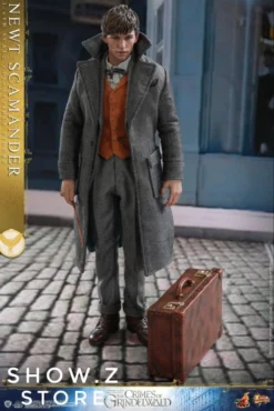 [Pre-Order] Hot Toys HT 1/6 Newt Scamander MMS512 Fantastic Beasts: The Crimes Of Grindelwald -Model handmade e7dfdfb34e