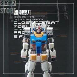 Inforce MG02 MG 1/100 RX-78-2 GUNDAM Ver.2.0 Internal Structure Showcase Display -Model handmade ea3a7e4f81